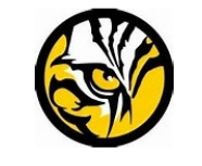 062115 eye of the tiger